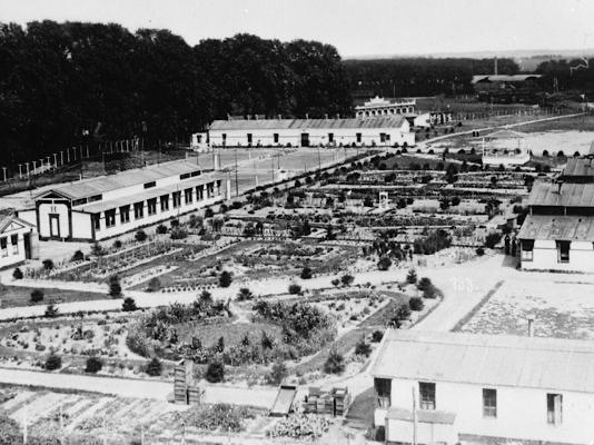Groningen Internment Camp
